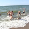 img008
